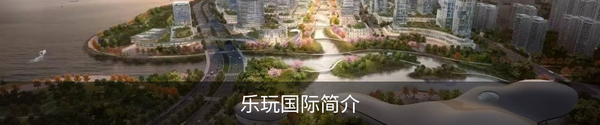 乐玩国际简介